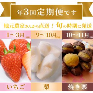 【ふるさと納税】＜フルーツ 定期便（全３回）＞ いちご 梨 焼き栗 fruit 苺 おすすめ 旬 果物 くだもの 高知県 佐川町産【冷蔵】【常温】【冷凍】
