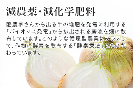 【令和8年産予約受付】玉ねぎ 10kg 北海道産玉ねぎ 本山農場