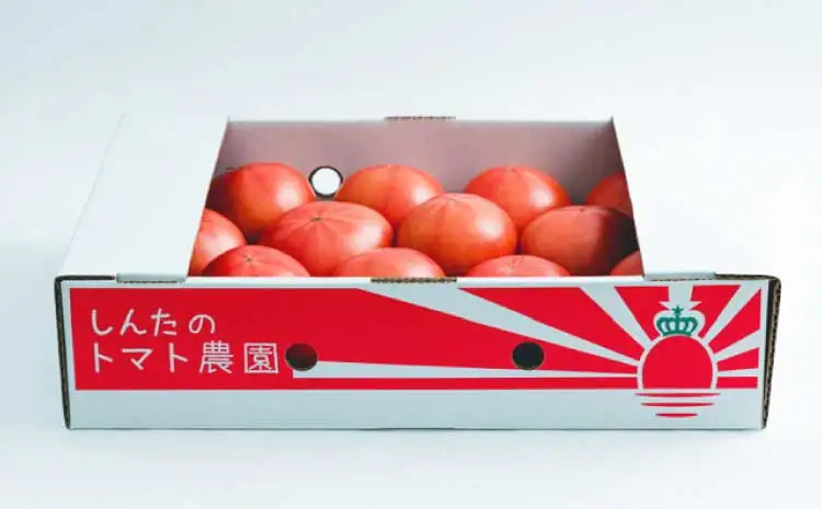 超濃厚! 宇城市産 塩トマト 約1.5kg （約15～20個サイズ混合）