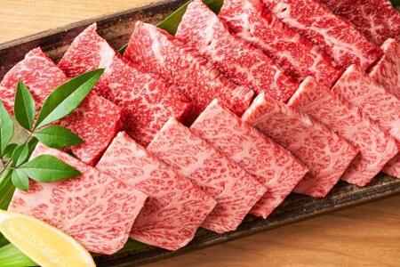 博多和牛 焼肉 用 500g 牛肉 福岡県 糸田町