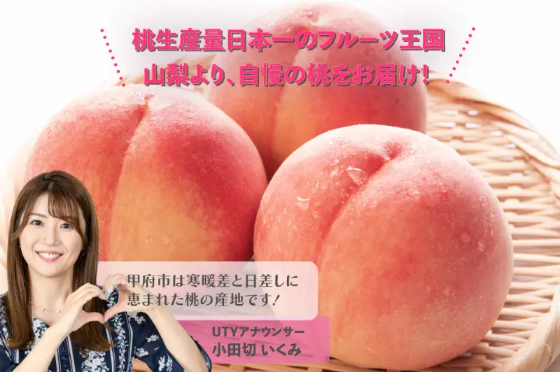 【2026年配送分】甲府フルーツ定期便