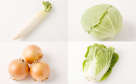 綺麗な水の街熊本で採れた新鮮野菜詰め合わせセット 約4～5kg 野菜 やさい 野菜詰合せ 詰め合わせ セット 国産 熊本県 熊本市 九州