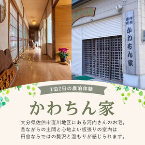 農泊体験・かわちん家 ペア1泊2食(ペアチケット) 体験 宿泊体験 チケット 民泊 宿泊 農村 食事付き 大分県 佐伯市【HD243】【さいき本舗 城下堂】
