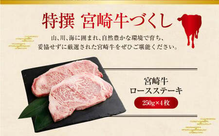 ＜特撰宮崎牛づくし(5種類)計3kg＞2ヶ月以内に順次出荷【c611_hn_x1】
