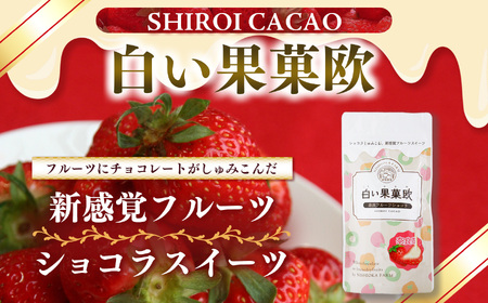  白い果菓欧 （ 5袋 ） |  フリーズドライ いちご チョコ 西岡農園 