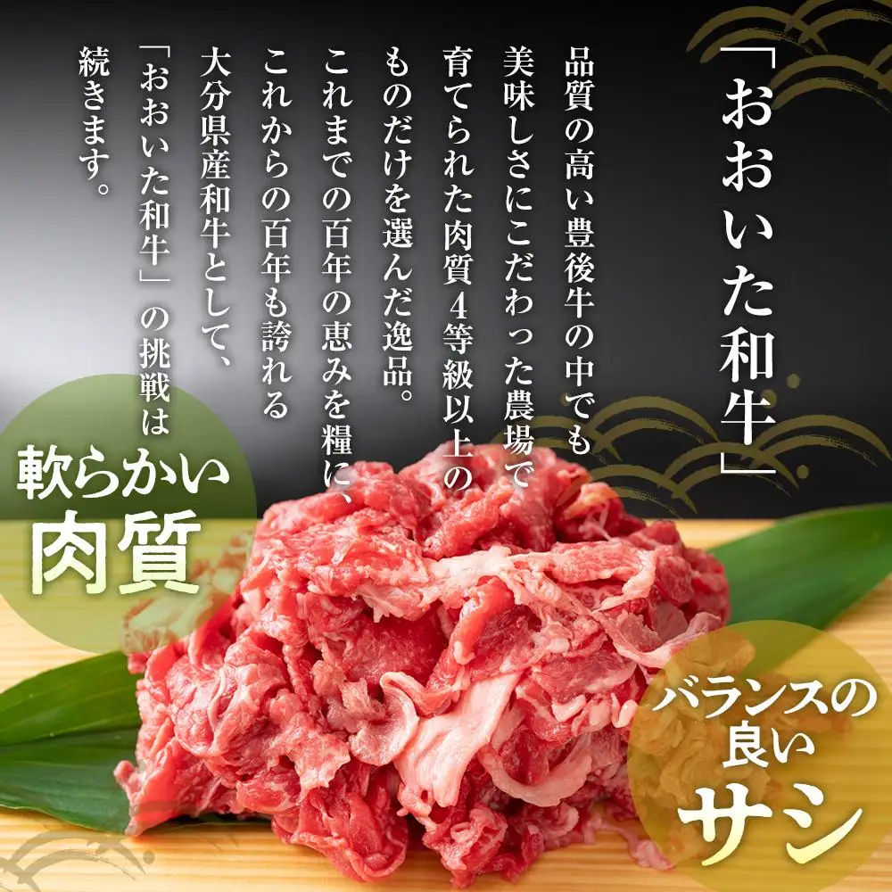 訳あり！おおいた和牛 切り落とし 5kg（500g×10p）