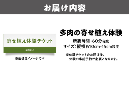 【にじたま園芸部】多肉の寄せ植え体験_OS110-0002