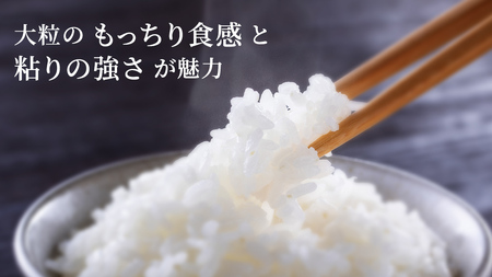 令和7年産 にじのきらめき 精米 10kg ( 5kg × 2袋 ) [SC055sa]