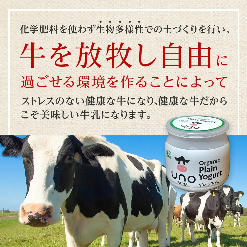 オーガニックプレーンヨーグルト（無糖）6個セット