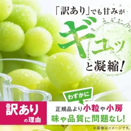 【2026年発送】JA中野市直送　訳ありシャインマスカット2.3kg以上満足セット(4～5房)【配送不可地域：離島】【1594569】