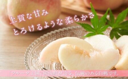桃 【2026年 先行予約】 晴れの国 おかやま の 白桃 2kg(5玉～7玉) 