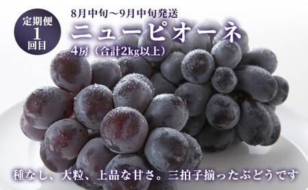 ぶどう 【2026年 先行予約】 晴れの国 おかやま の フルーツ 定期便  葡萄 ニュー ピオーネ シャインマスカット 岡山県産 国産 セット ギフト