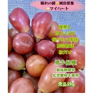 ぶどう 2026年  マイハート 秀品 粒だけ 約2kg  家庭用 ギフト 農林大臣賞2回受賞  贈答用 贈り物 岡山 果物 フルーツ  採りたて発送 農家直送 数量限定 新鮮 8月中旬から発送