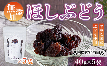 ほしぶどう(40g×5袋)としっとり柿チップス(60g×5袋)セット 国産 ドライフルーツ レーズン 無添加  人気 おすすめ