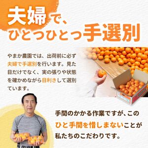 有田 みかん 10kg M・L / 温州みかん 有田みかん 甘い 和歌山 柑橘 ※2026年12月上旬～翌年1月中旬に順次発送 【ymk004-10-mlB】