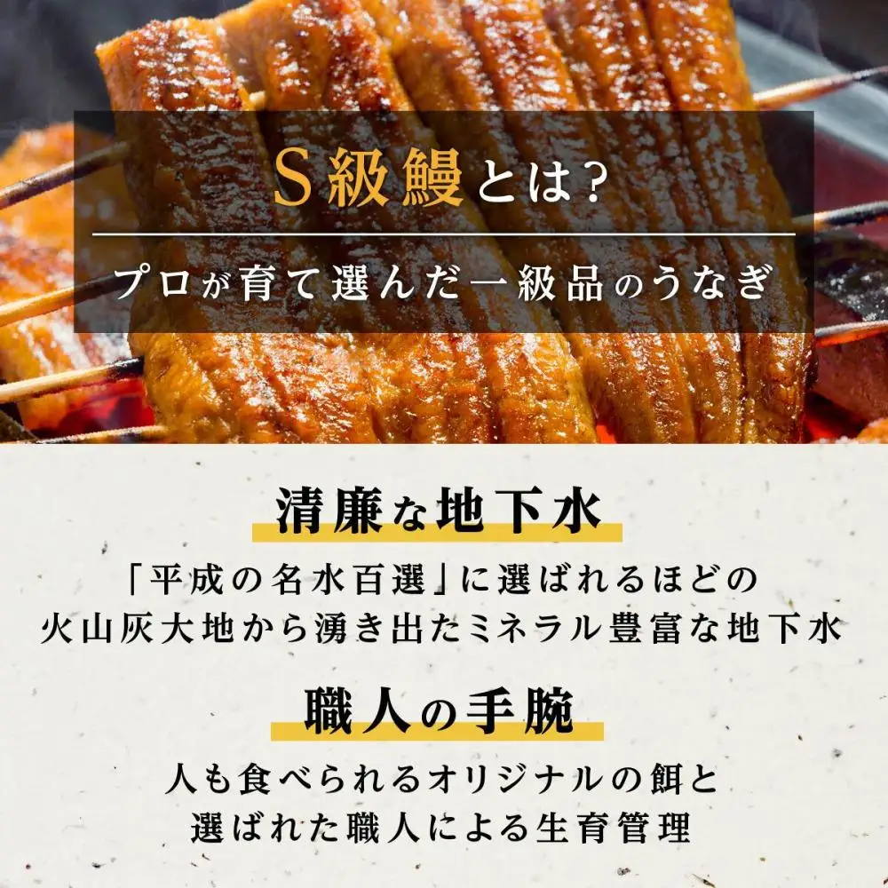 横山桂一さんのS級 鰻　特大サイズ５尾（計900g）| うなぎ うなぎ