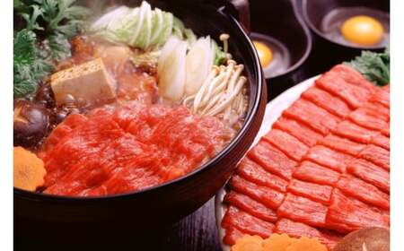 【桜屋】定期便 3回 GI くまもとあか牛 すき焼き用 500g 国産 熊本県産 地理的表示 認定ブランド牛 褐毛和種 あかげわしゅ ブランド牛 熊本県認定 和牛 あか牛 すき焼き しゃぶしゃぶ 焼しゃぶ 希少 阿蘇 小国町 小国郷 贈答 ギフト