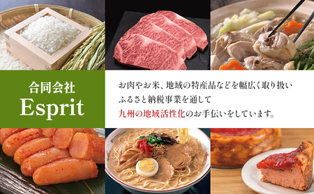 【A4～A5】くまもと黒毛和牛 サーロインステーキ  500g 《30日以内に出荷予定(土日祝除く)》 牛肉 くまもと黒毛和牛 黒毛和牛 冷凍庫 サーロイン ステーキ Esprit