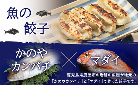 出水田鮮魚 の おさかな 餃子（8個×4パック） K294-002 魚 惣菜 総菜 冷凍