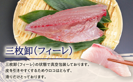 鹿児島県産 カンパチ 約3.5kg 三枚卸（ フィーレ ） 活〆 ※ 真空包装 K294-003_02 魚