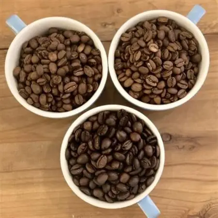 【2ヵ月毎定期便】《豆3種計300g》ネコグラ珈琲焙煎所の煎りたて挽きたてコーヒーセット全3回_飲料・ドリンク コーヒー豆 コーヒー・コーヒー豆 珈琲 珈琲豆  定期便 定期便  _【4064367】