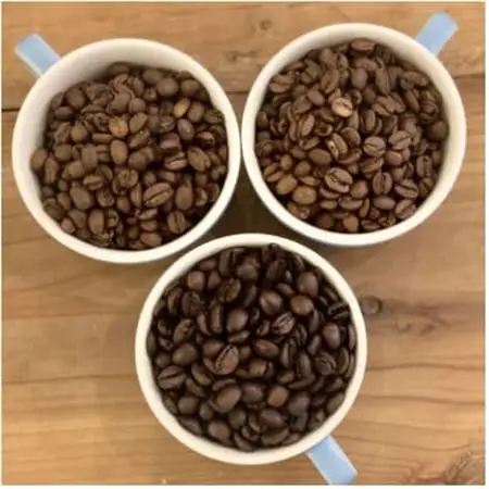 【2ヵ月毎定期便】《粉3種計300g》ネコグラ珈琲焙煎所の煎りたて挽きたてコーヒーセット全6回_飲料・ドリンク 粉 コーヒー・コーヒー豆 珈琲 珈琲豆  定期便 定期便  _【4064371】