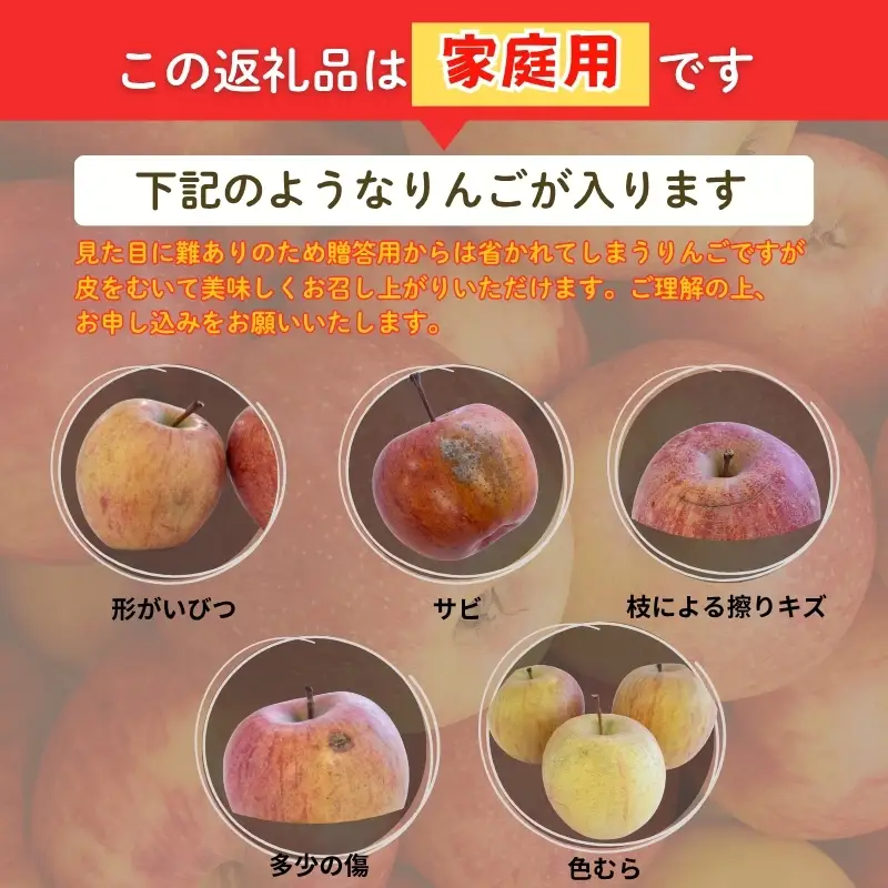 No.2965 ししどりんご園　りんご「サンふじ」家庭用　約10kg箱入【2026年度発送】