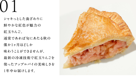 アップルパイ （ ホール 直径 20ｃｍ ） 自家製 ケーキ [BL001tu]