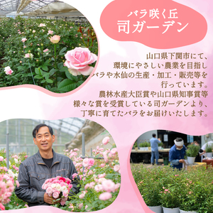 バラ 花束 100本 黄色 バラ バラ バラ バラ バラ 下関 山口 JI007-4