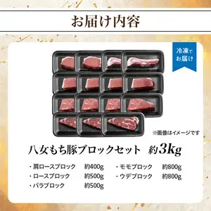 八女もち豚ブロックセット 約3キロ 072-208