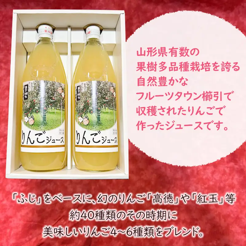100％果汁 りんごジュース1L×2本入　インフィニファーム　K-624