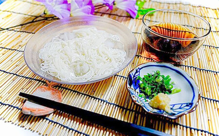 【つるっと！のどごし】島原手延そうめん　50g×10束 / 麺 乾麺 手延べ そうめん 素麺 そうめん ソーメン 南島原市 / 三和サービス株式会社[SGB003]