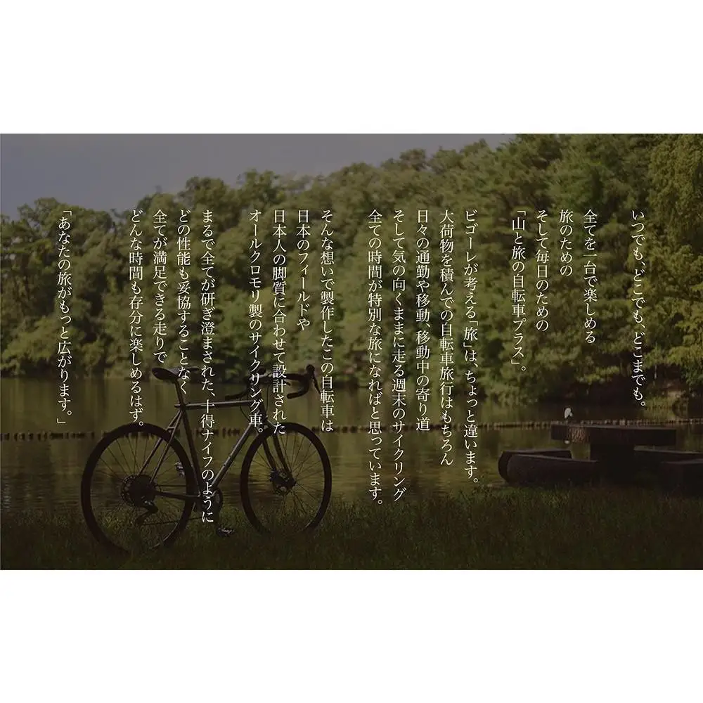 【高島屋選定品】【VIGORE】山と旅の自転車プラス GRX820（2×12速）