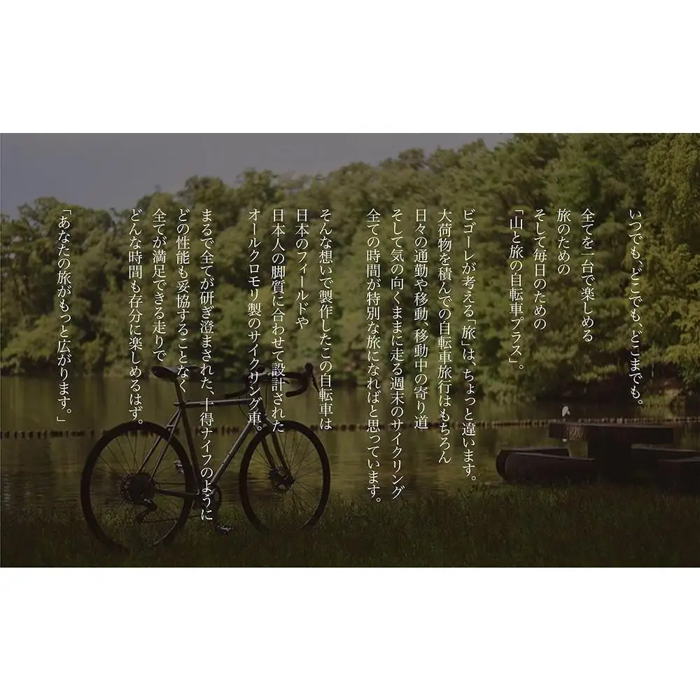 【高島屋選定品】【VIGORE】山と旅の自転車プラス GRX600（1×11速 / マット・チタンカラー）