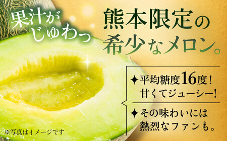 肥後グリーンメロン 約7kg(4～6玉入) メロン グリーンメロン フルーツ 熊本県産 【日本フルーツ株式会社】 [ZFJ006]