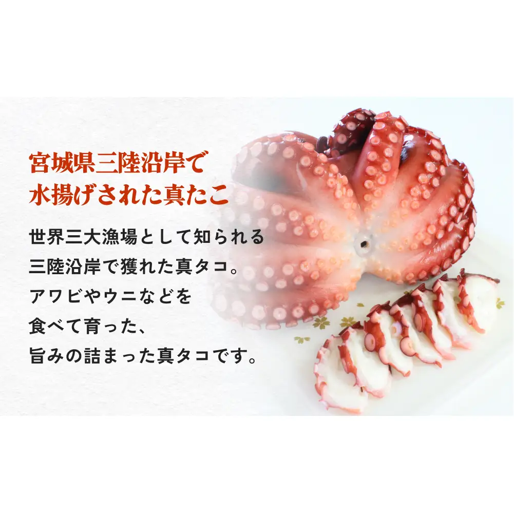 真たこ ボイル  約1kg 蛸 たこ タコ ボイル済み 冷凍 小分け CAS凍結 海鮮 魚介類