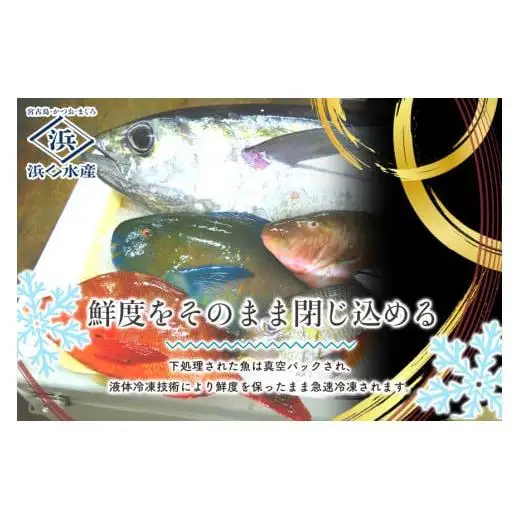 AD117 ＜浜口水産＞『 マグロ入り！魚屋の天ぷらセット』魚屋ならではの「かつお出汁」入り！｜マグロ 鮪 天ぷら 簡単調理 おかず セット 沖縄県 宮古島市 伊良部島 人気 おすすめ 送料無料