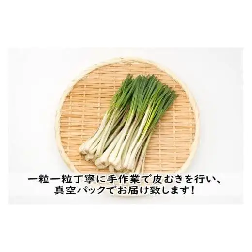 島らっきょう（200g）AZ107