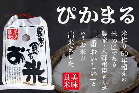 【 令和7年産米】多良木町産 ぴかまる 10kg (5kg×2袋) 令和7年10月下旬より順次発送 農家が食べる お米 米 白米 精米 甘みのある お米 有機 お米 065-0641