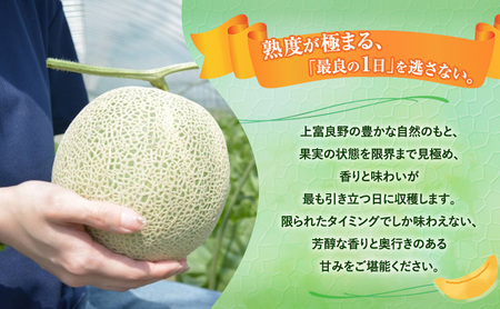 【令和8年産】【2ヵ月定期便】 富良野 高糖度 赤肉メロン 2玉×2箱 2回 お届け 約1.8kg ～ 2.3kg うっちーfarm 北海道 メロン フルーツ 果物 デザート上富良野産