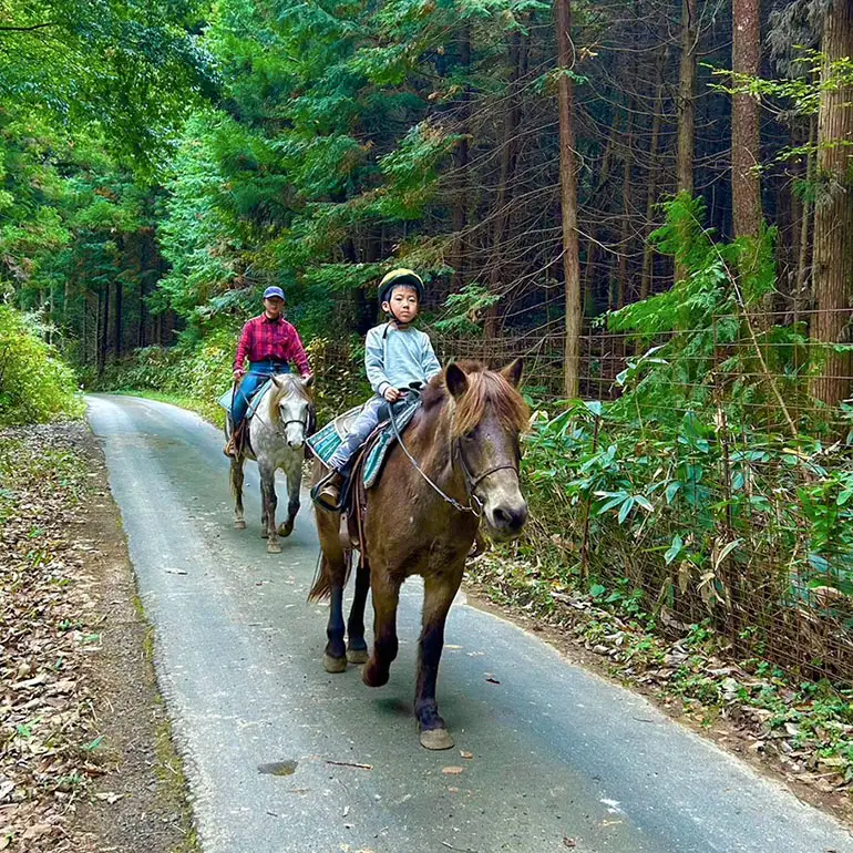 初心者歓迎 森の中を馬に乗ってお散歩プラン(15分)  ミニ外乗 体験 広島 安芸高田市 エオの谷