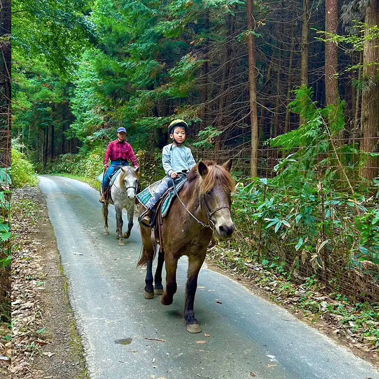 初心者歓迎 森の中を馬に乗ってお散歩プラン(30分)  外乗 体験 広島 安芸高田市 エオの谷