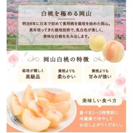 【2026年発送】岡山県産　白桃 6玉 (1.5kg以上) 等級:ロイヤル 化粧箱入り【配送不可地域：離島・北海道・沖縄県】【1546675】
