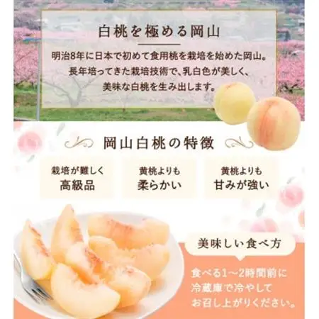 【2026年発送】岡山県産　白桃 8玉(2kg以上) 等級:ロイヤル 化粧箱入り 【配送不可地域：離島・北海道・沖縄県】【1546676】