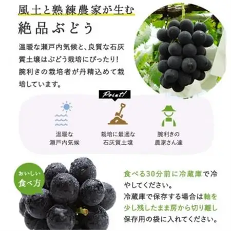 【2026年発送】岡山県産　ニューピオーネ4房(1房480g以上) 【配送不可地域：離島】【1546678】