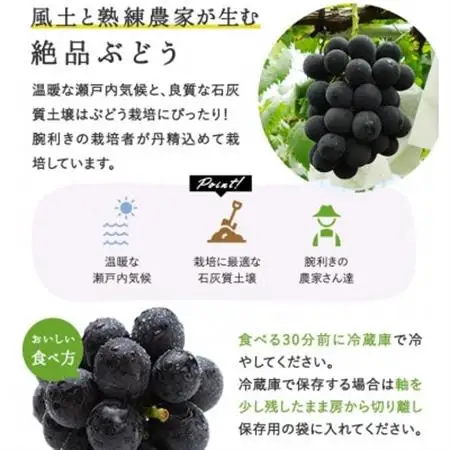 【2026年発送】岡山県産　ニューピオーネ2房(1房480g以上) 化粧箱入り 【配送不可地域：離島】【1546679】