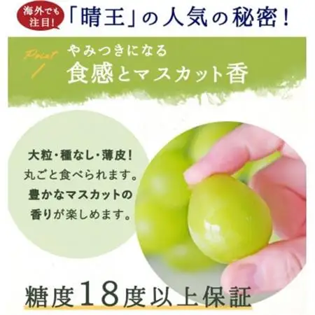 岡山県産 シャインマスカット『晴王』2房(1房480g以上) 化粧箱入り【配送不可地域：離島】【1546682】
