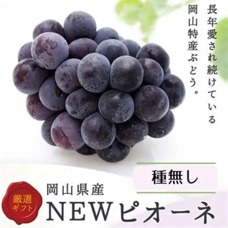 【2026年発送】ぶどう詰合/ニューピオーネ2房・シャインマスカット晴王2房(各1房480g以上)【配送不可地域：離島】【1546684】