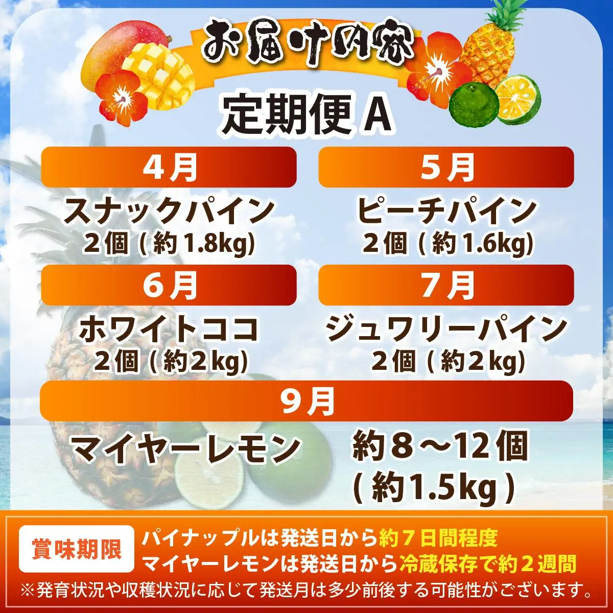 《年5回発送》パイナップル好きにおすすめ！大満足のパイナップル4品種＆マイヤーレモン定期便