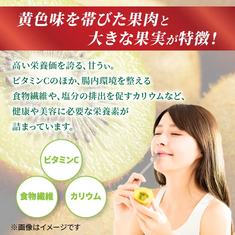 【先行受付：2026年11月頃発送開始】福岡限定品種キウイ「甘うぃ」約1.3～1.5kg <配送不可地域：北海道・沖縄・離島> 先行受付 キウイ キウイフルーツ フルーツ 果物 くだもの 甘い 高糖度 希少 オリジナル品種 新品種 新ブランド 福岡県 八女市 072-194
